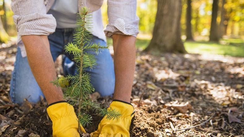 攀枝花的“末代”伐木工与赶漂人